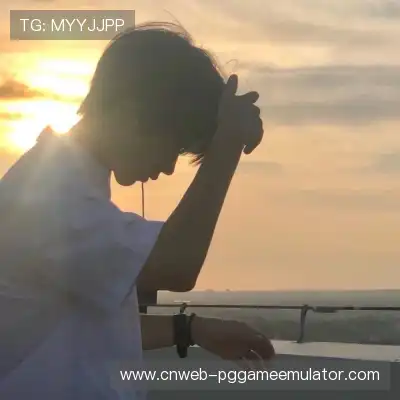 沈蓉辰